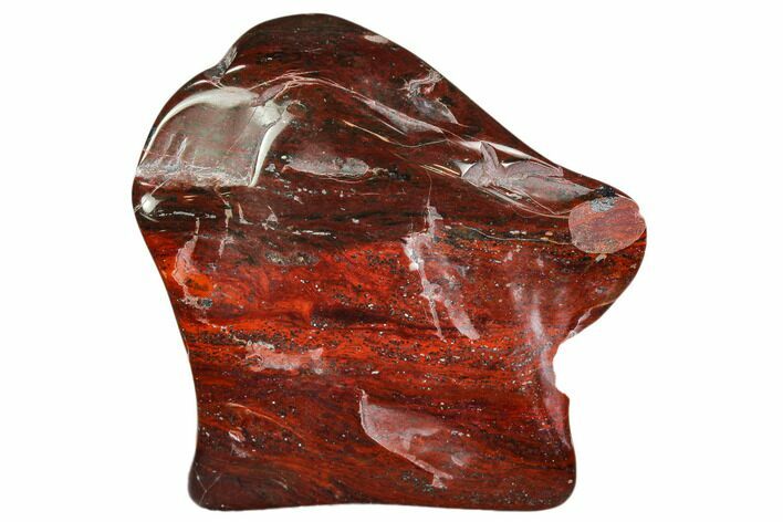 Bargain Polished Stromatolite (Collenia) - Minnesota #108596